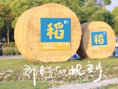 -嘉北郊野公园