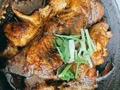 特色鲶鱼砂锅-洪兴砂锅·融合砂锅菜(三站店)