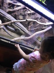 -酷嗒动物文化乐园(cutezoo西溪乐天城店)