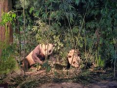 -天津自然博物馆