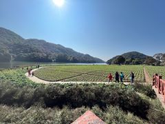 -广州市石门国家森林公园