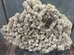 -游龙石文化科普馆