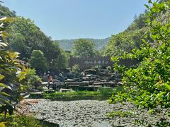 -桃花岭景区