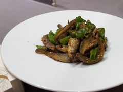 -春天来了(印象新天地店)