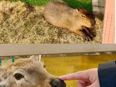 -盈香心动乐园