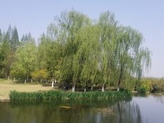 -习家池