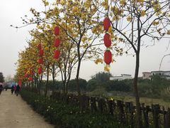 -天适樱花悠乐园