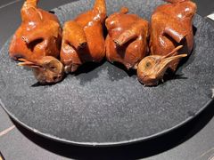 -三强鸽子(中原路店)
