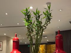 -红棉中餐厅·广州海航威斯汀酒店