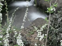 -中国茶叶博物馆(双峰馆区)