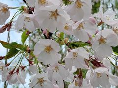 -昆山城市生态森林公园