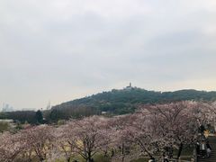 -苏州上方山国家森林公园