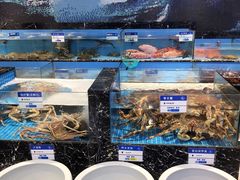 -宁海食府·涌宴(真和店)