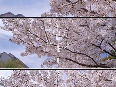 -江南大学(蠡湖校区)