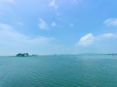 -滕州微山湖红荷湿地景区