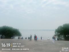 -宝安西湾红树林湿地公园