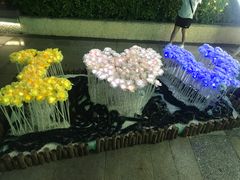 -幻彩摩天轮