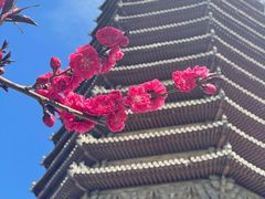 -玲珑塔公园