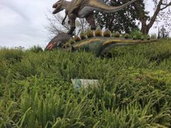 iphone_upload_pic-自贡恐龙博物馆