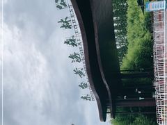 -黄海国家森林公园