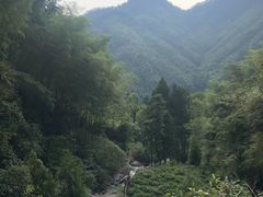 -林坑古村落