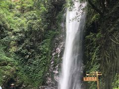 -莫里热带雨林景区