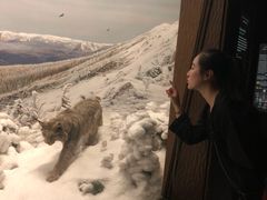 -美国自然历史博物馆