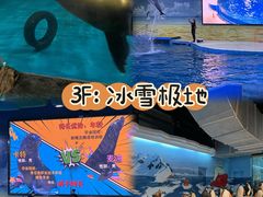 -南京海底世界