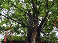 -西安关中民俗艺术博物院