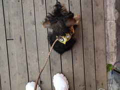 -无声臭豆腐(大井1号店)