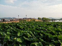 -西湖游船