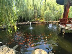 -大悲禅寺