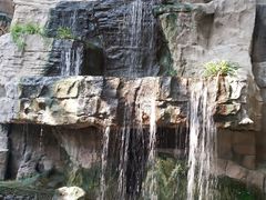 -南宫五洲植物乐园