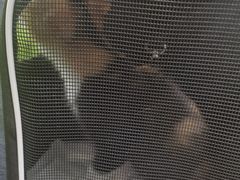 -北京观赏动物医院·24小时大型综合·猫专科·异宠专科