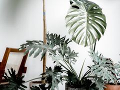 -DEEP COFFEE(瑞光烘焙工厂店)