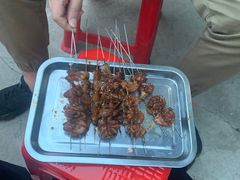 -老崔烤串(北陵小区店)