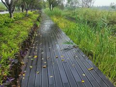 景点-长田漾湿地公园