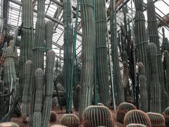 -南山植物园