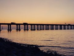 -宝安西湾红树林湿地公园