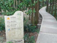 -广州市帽峰山景区