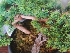 -百富源·海鲜辽菜(张士店)