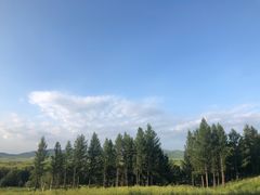 -塞罕坝国家级自然保护区