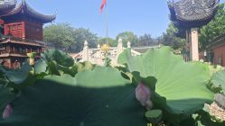 -青霖·飘逸造型