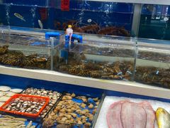 -北塘海鲜·天津菜(大光明桥旗舰店)