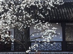 -山塘街