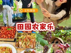 -上海山野camping·户外天幕烧烤·团建拓展营地