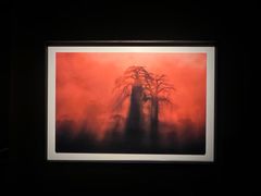 -罗红摄影艺术馆