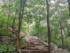 -大岭沟猕猴桃谷风景区