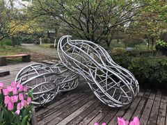 -南山植物园