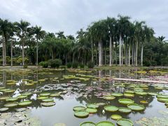 -中国科学院西双版纳热带植物园